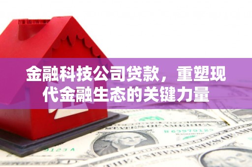 阿瓦提金融科技公司贷款，重塑现代金融生态的关键力量