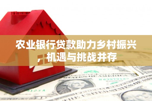 阿瓦提农业银行贷款助力乡村振兴，机遇与挑战并存