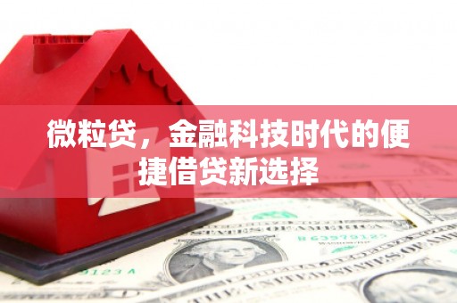 阿瓦提微粒贷，金融科技时代的便捷借贷新选择