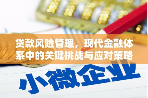 阿瓦提贷款风险管理，现代金融体系中的关键挑战与应对策略