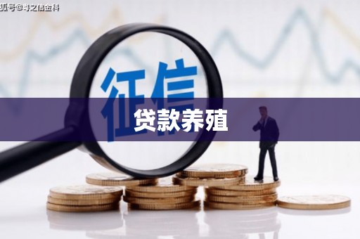 阿瓦提贷款养殖