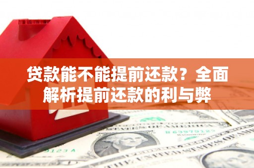 阿瓦提贷款能不能提前还款？全面解析提前还款的利与弊