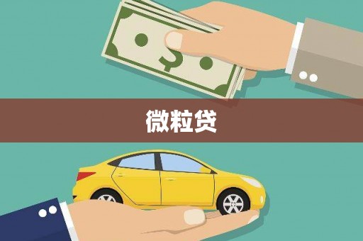 阿瓦提微粒贷