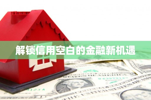 阿瓦提解锁信用空白的金融新机遇