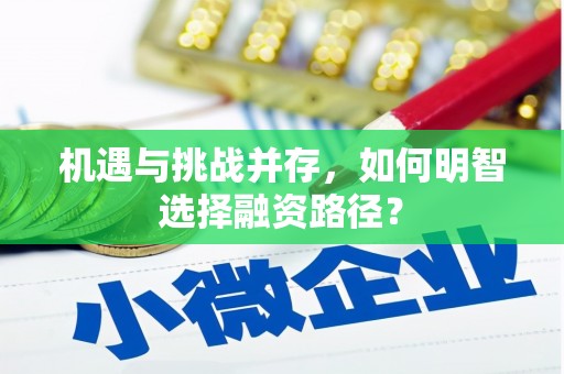 阿瓦提机遇与挑战并存，如何明智选择融资路径？
