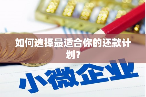 阿瓦提如何选择最适合你的还款计划？