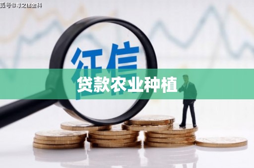 阿瓦提贷款农业种植